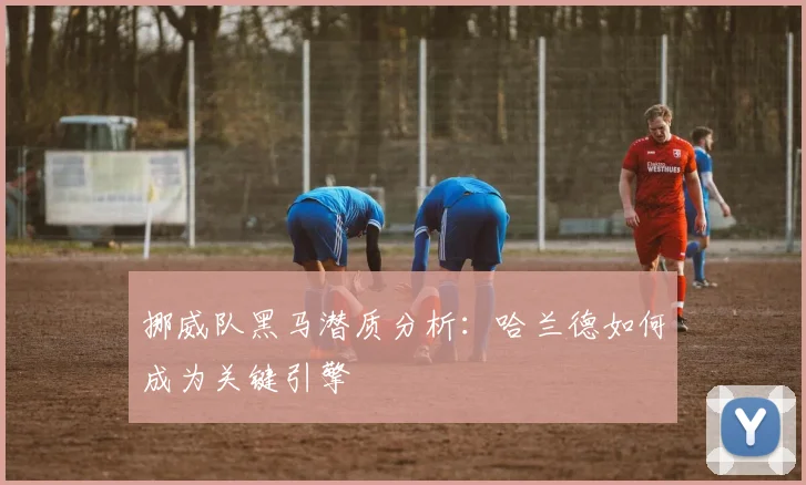 挪威队黑马潜质分析:哈兰德如何成为关键引擎